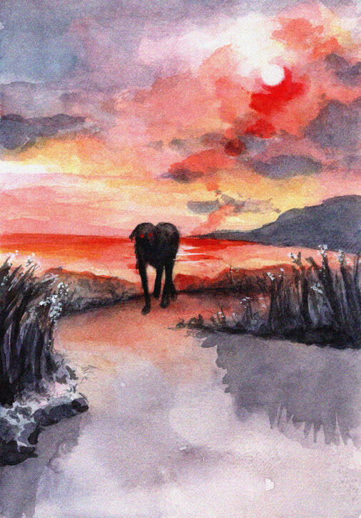 black shuck