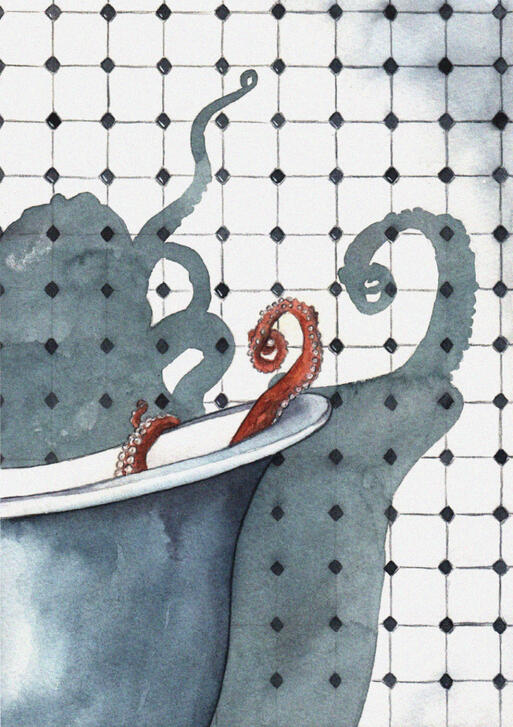 octopus