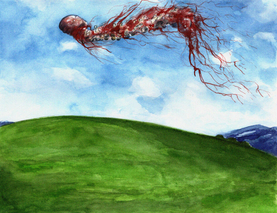 xp