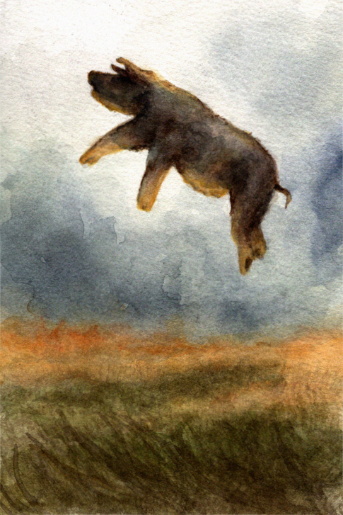 prairie fire
