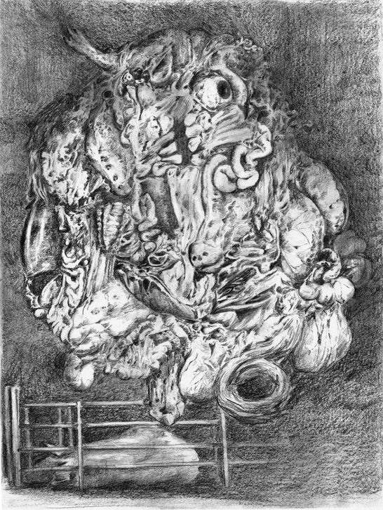 sow's dream